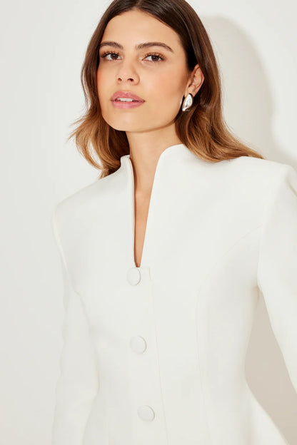 The Ultimate Muse Long Sleeve Button Down Dress