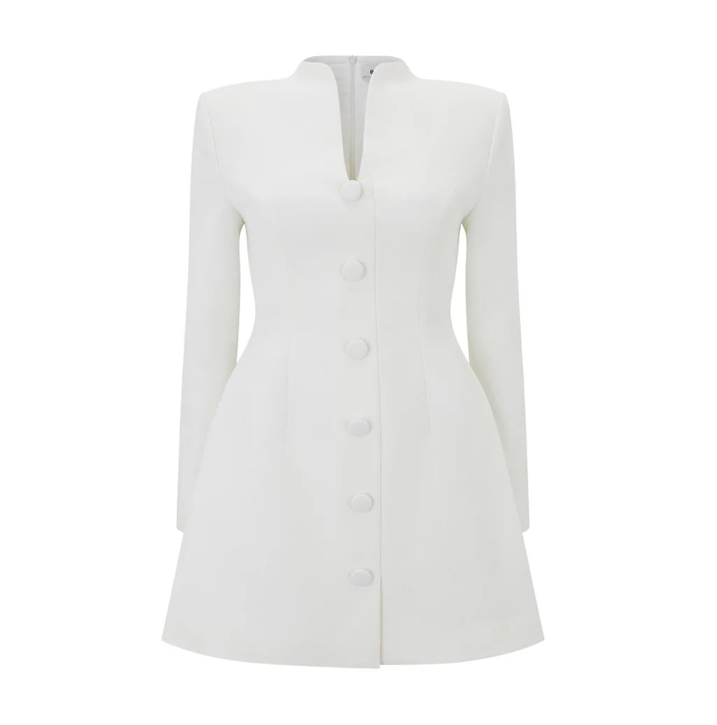 The Ultimate Muse Long Sleeve Button Down Dress